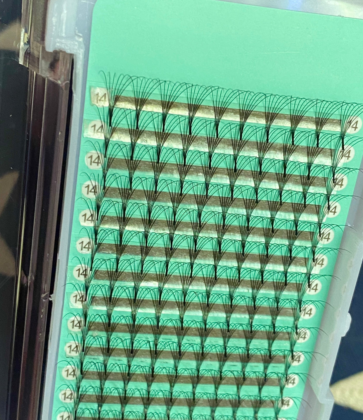 6D - 0.07mm Slim/Pointy Root Medium Stem Premade Fans 16 lines NO-Logo 160 fans 【Sale】