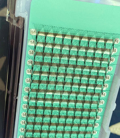 6D - 0.07mm Slim/Pointy Root Medium Stem Premade Fans 16 lines NO-Logo 160 fans 【Sale】