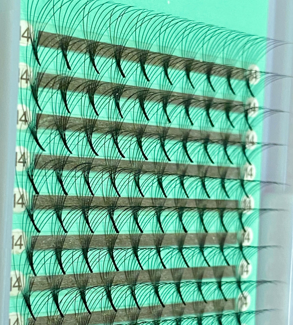 6D - 0.07mm Slim/Pointy Root Medium Stem Premade Fans 16 lines NO-Logo 160 fans 【Sale】