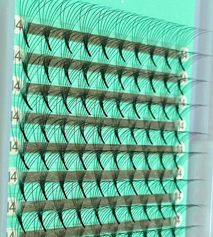 6D - 0.07mm Slim/Pointy Root Medium Stem Premade Fans 16 lines NO-Logo 160 fans 【Sale】