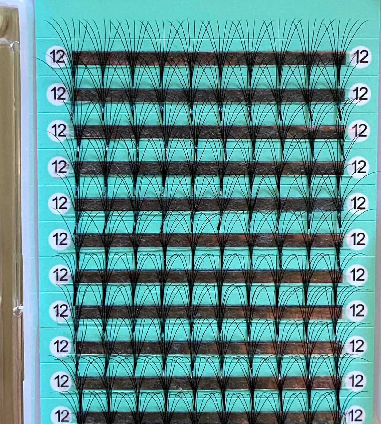 6D - 0.07mm Slim/Pointy Root Medium Stem Premade Fans 16 lines NO-Logo 160 fans 【Sale】